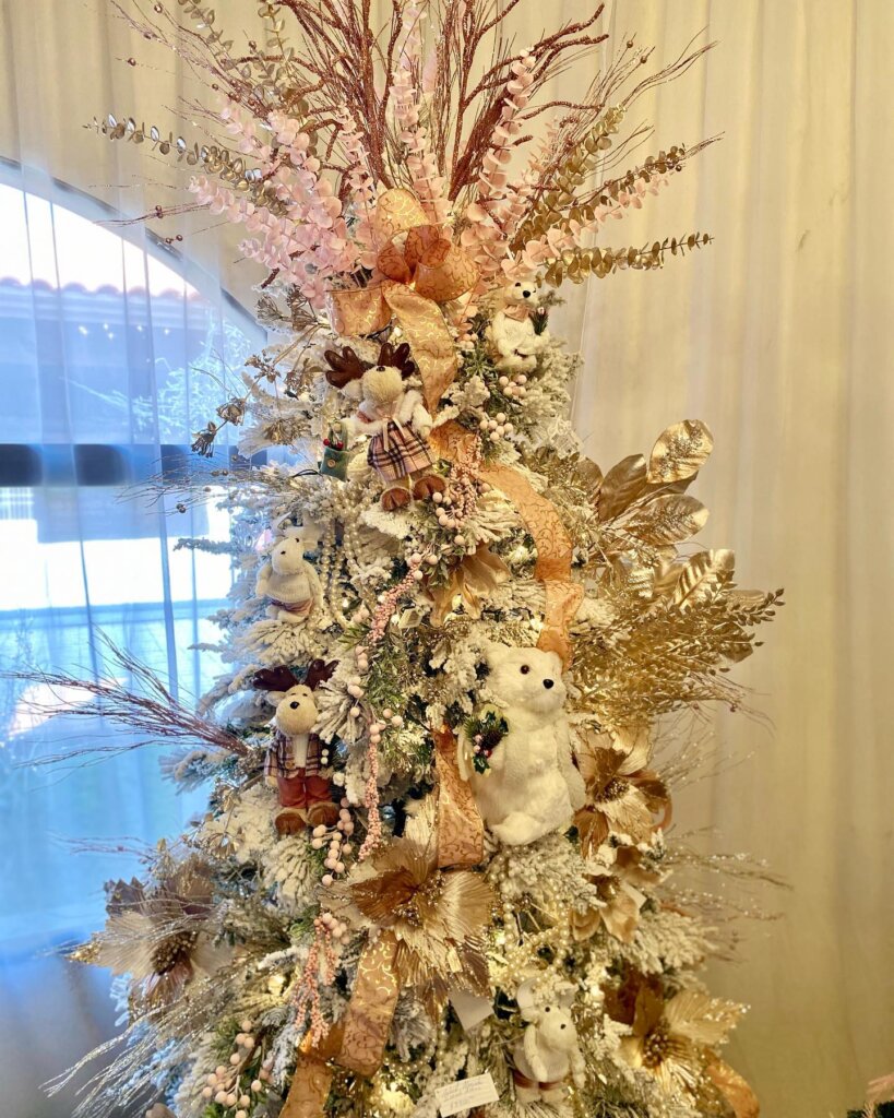 Creaciones Ene Papeleria y Merceria en Torreon