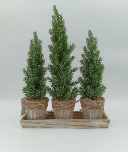 Figura Pinos En Macetas 11.5"" X 3.375"" X 16"" Verde